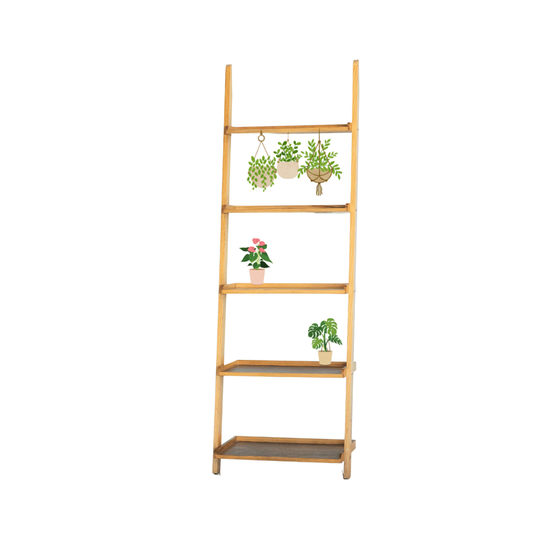Open Ladder Main image