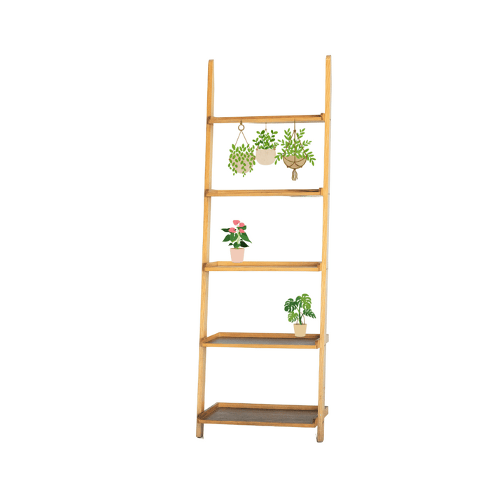 Open Ladder